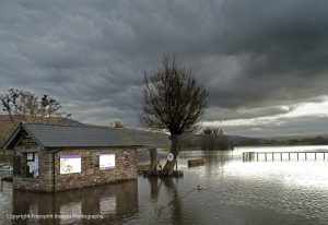 Llangorse Lake Flooded 1web_DSC0469